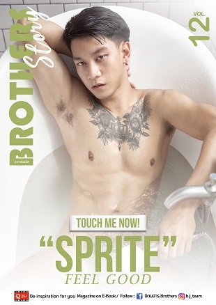 Brothers Story Vol.12 + Video