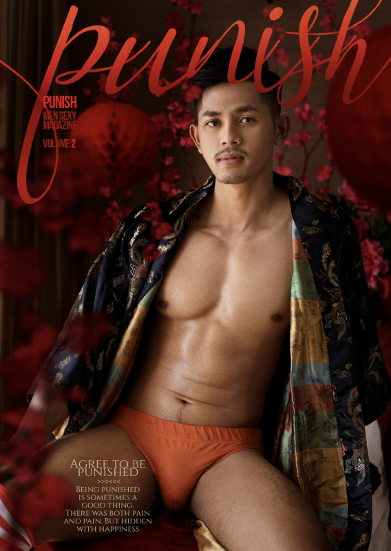 Punish Vol.2 [Ebook + Video]