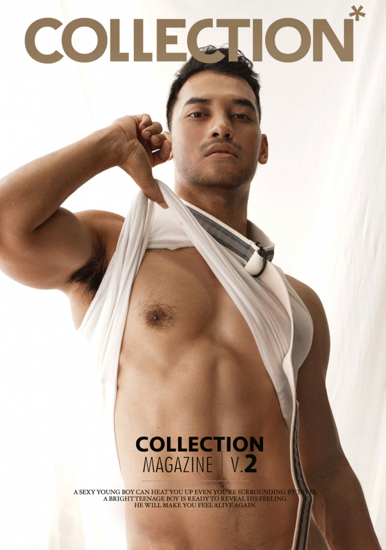 Collection V.2 [Ebook]