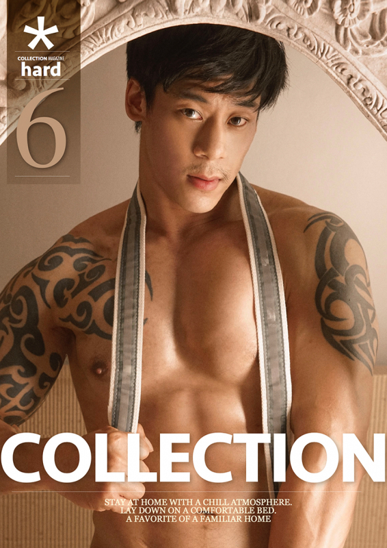 Collection V.6 [Ebook + Video]