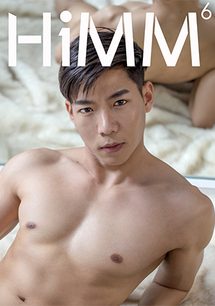 HiMM 6 [Ebook]