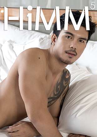 HiMM 5 [Ebook]