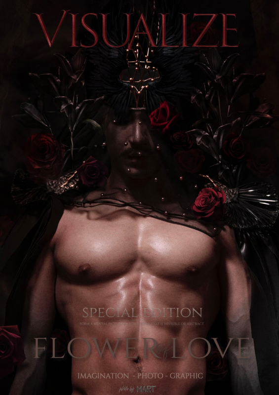VISUALIZE Special Edition 