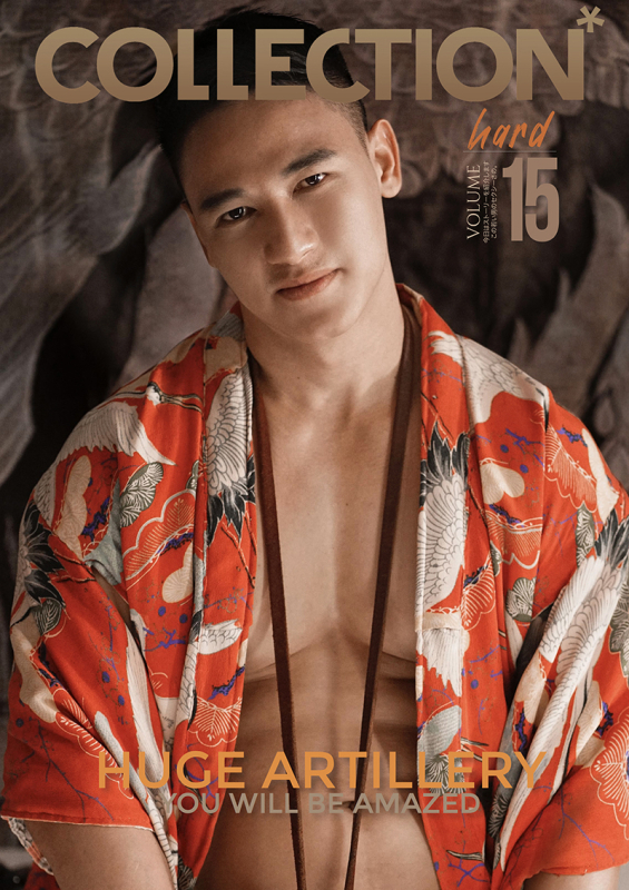 Collection V.15 [Ebook + Video]