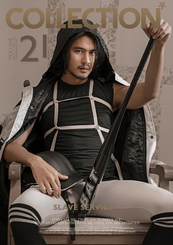 Collection V.21 [Ebook + Video]