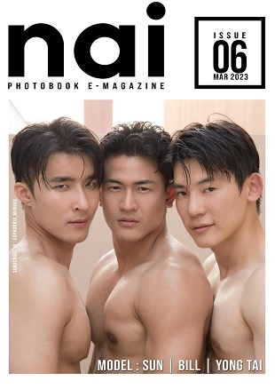 nai Issue 6 (Ebook + Video)